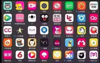 小力最新爆料新闻直播,最新爆料新闻直播精彩瞬间