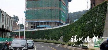 新城最新爆料消息新闻,最新热点新闻深度解析