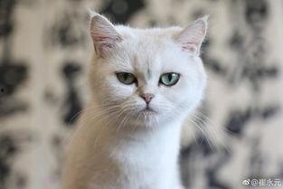 丁满最新爆料,娱乐圈惊天秘密大曝光！